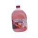 DESODORANTE A/LIQUIDO 5 LTS. SECOWASH FRUT/ROJ ECO