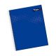 CUADERNO UNIV. E/D 100 HJ C.HORIZONTAL TORRE LISO